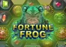 Fortune Frog slot game thumbnail